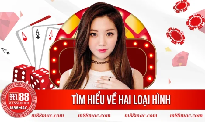 Tìm hiểu về hai loại hình